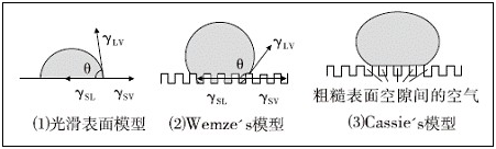 固體表面潤濕模型