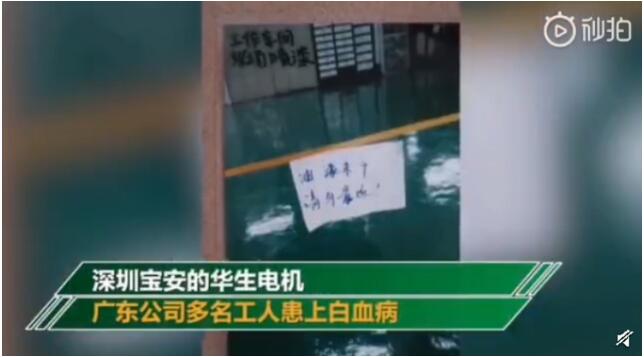 深圳汽配廠白血病事件 工人被鑒定為職業(yè)性腫瘤